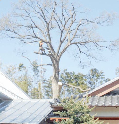 国際推奨の安全仕様に厳に基づく有資格者のプロ集団のイメージ
