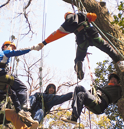 人気の「ツリークライミング®」木とともだちになる　森林体験プログラムのイメージ