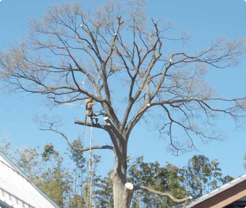 木を大切に活かす仕事のイメージ