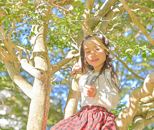 森林環境へいざなう仕事のイメージ